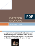 Copia de Expresión Emocional