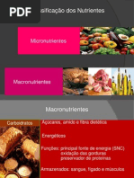 4a- Classificacao Dos Nutrientes Parte 1.