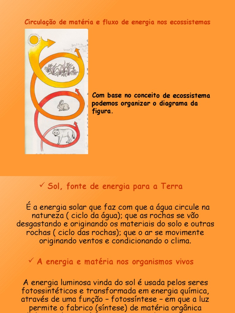 Ciclo de Matéria e Fluxo de Energia | PDF