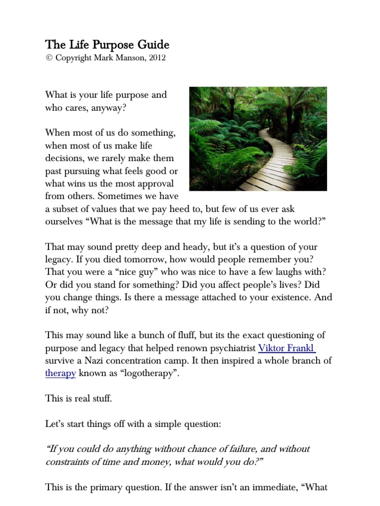 Life Purpose Guide | PDF