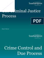 The Criminal Justice Process