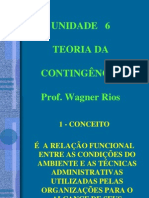 UNIDADE 6 - TEORIA DA CONTINGÊNCIA - CONTEÚDO