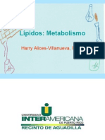 lípidos_metabolismo