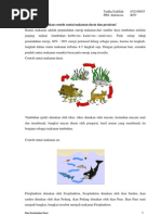 Download Rantai makanan jaring-jaring makanan piramida makanan siklus karbon siklus posfor dan siklus nitrogen by Yudha Fadillah SN147234661 doc pdf