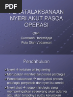 Download Penatalaksanaan Nyeri Akut Pasca Operasi by adekonstantin SN147257041 doc pdf
