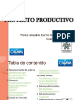 Proyecto Productivo Sena 2011