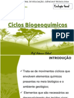 Ciclos Biogeoquímicos