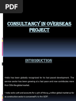 Consultancy in Project Export