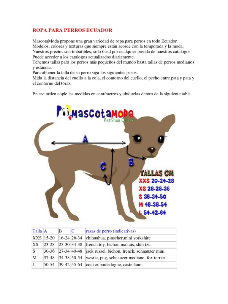 Ropa para Perros Ecuador | PDF