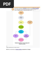 MC Metodo Ciemtifico