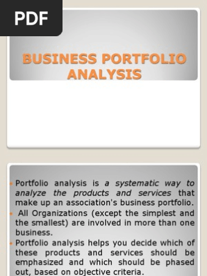 Business Portfolio Analysis