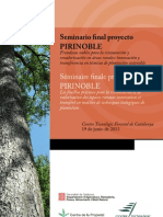 Programa PIRINOBLE_19 Juny-1