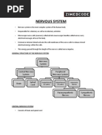 Nervous System