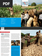 ICS Factfolder Tanzania Meatu Agribusiness