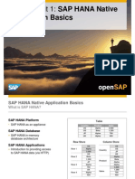 Application Basics: Week 1 Unit 1: SAP HANA Native