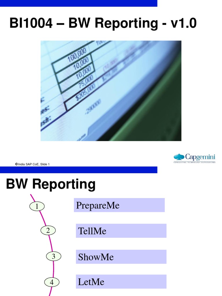 BW Reporting Guide | PDF | Variable (Computer Science) | Visual Basic ...