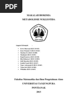 Download Makalah METABOLISME NUKLEOTIDA by Baldus Pierre Bouvier SN147331133 doc pdf