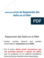 Mecanismos de Reparación del daño en el DNA 2013