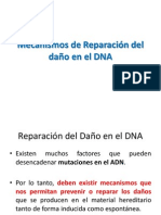 Mecanismos de Reparación Del Daño en El DNA 2013