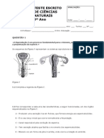 Teste Cn 9ano Saude Sistemas Reprodutores Contracepcao