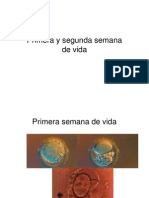 3-2-Primera y Segunda Semana de Vida