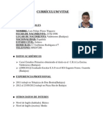 Curriculum Vitae Luis Felipe Flores