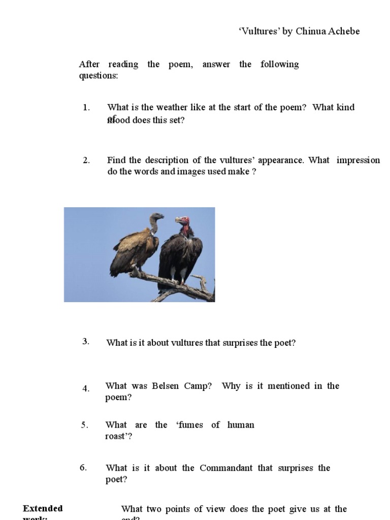 Vultures Chinua Achebe After Reading The Poem Answer Pdf
