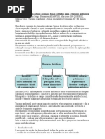 3 Metodologias para estudo do meio físico voltadas para o turismo ambiental.doc