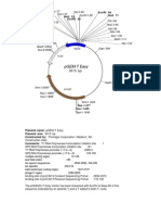 pGEM-T Vector Map