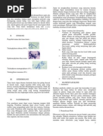 Download Tinea Kruris by Stephanie Angeline SN147457671 doc pdf