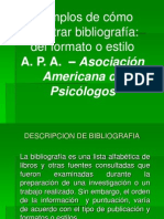 Registro Bibliografia APA