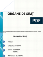 LP II-12-Organe de Simt