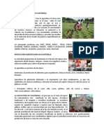 PRODUCTOS AGRÍCOLAS DE GUATEMALA