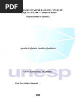Apostila Quimica Analitica e Qualitativa 2012 PDF