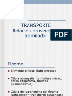 Cap5. Transporte