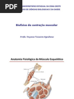 ContraÃ§Ã£o muscular