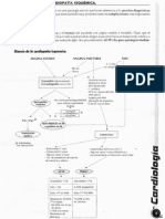 Cardiologia