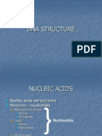 Dna Structure Lecture