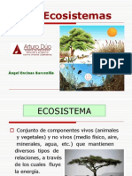 ecosistemas-1196246159868013-4