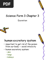 Chapter 3 Excreation