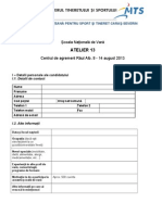 Formular Candidatura Atelier 13