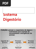 Anatomofisiologia Sistema Digestorio