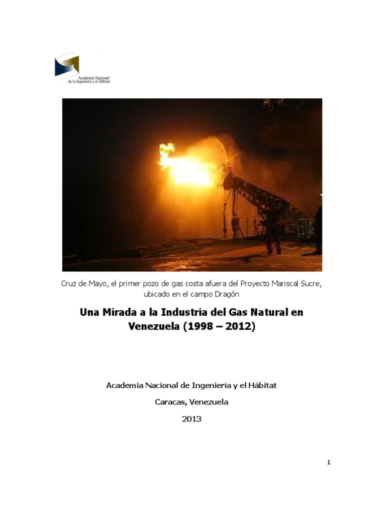 Industria del Gas Natural en Venezuela | PDF | Petróleo | Gas natural