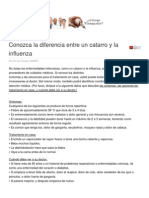 Conozca La Diferencia Entre Un Catarro y La Influenza