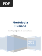 APOSTILA MORFOLOGIA UNIABEU