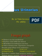 4. Tractus Urinarius