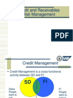 Credit & Risk MGMT