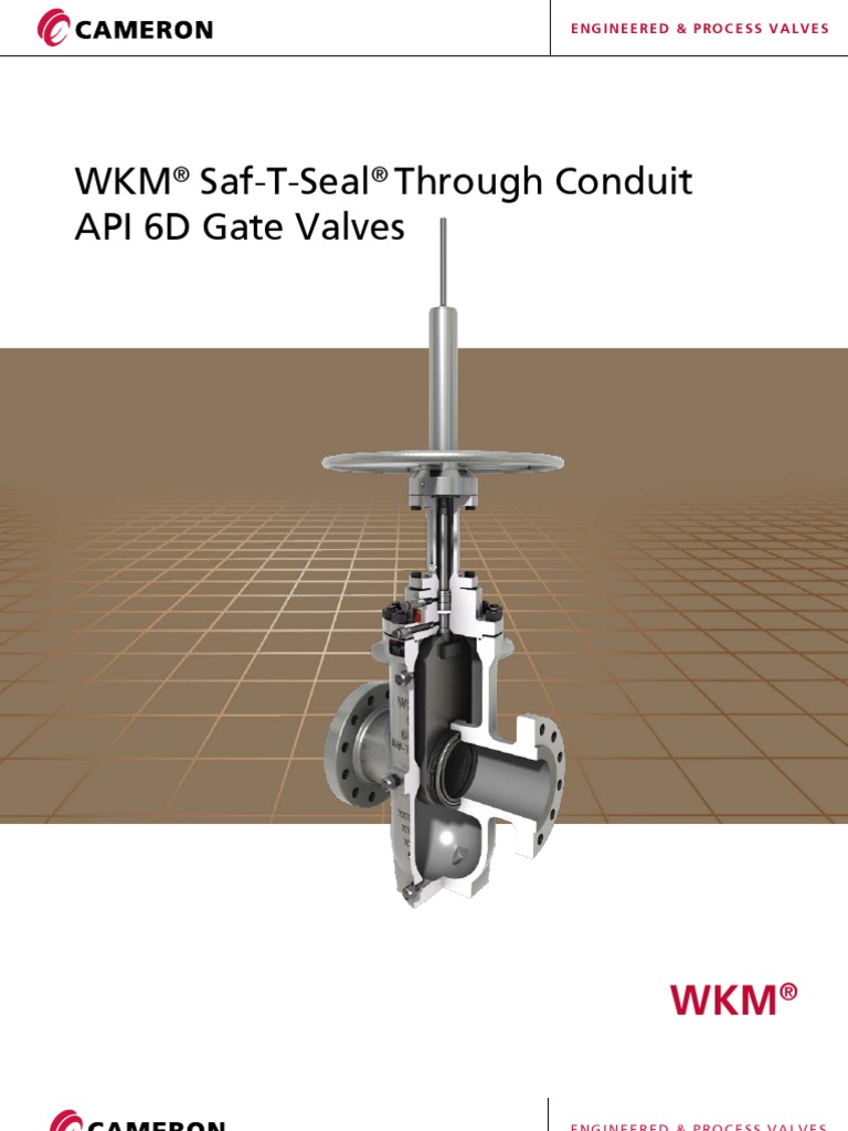 CTWKMGATESAFTSEAL01.pdf Valve Actuator