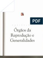 01-Cesar Dumm- Embriologia Humana ORGAOS REPRODUTIVOS