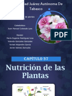 Nutricion de Las Plantas